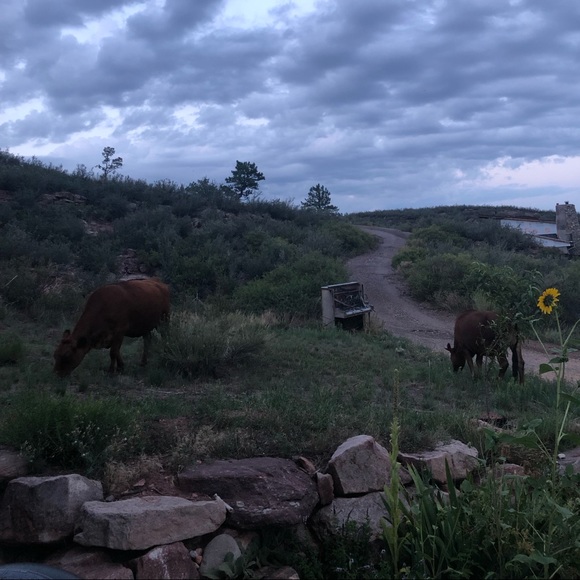 Meet your Posher, Michaela - Picture 6 of 7